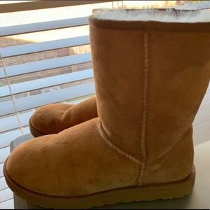 Women’s Short Ugg Boots